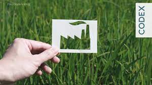 Sustentável para quem? Conheça o greenwashing e saiba como evitá-lo