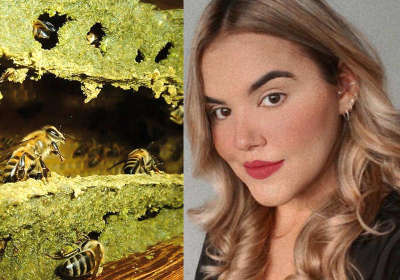 Universitária registra patente de própolis verde contra avanço da Covid