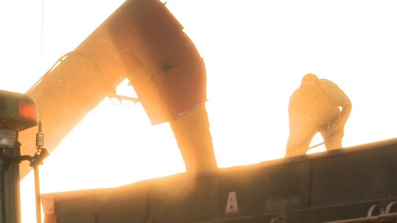 Milho disponível em Mato Grosso cai 1,1% e no mercado futuro sobe 4,4%