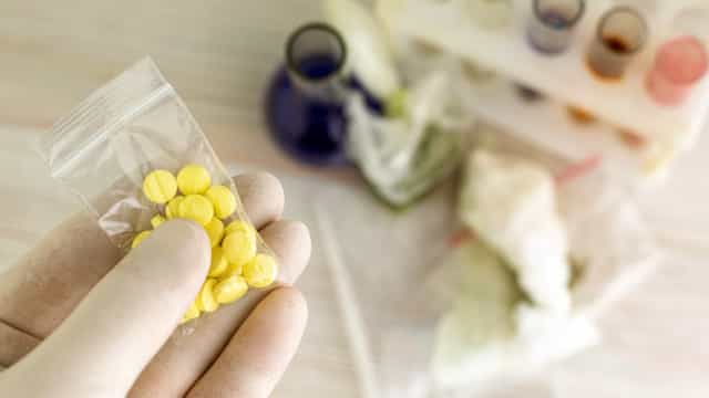 Usar drogas faz parte do direito a buscar a felicidade, defende neurocientista