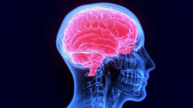 Exames que identificam fungos que afetam sistema nervoso entram no SUS