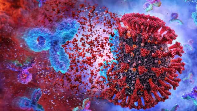 Lacuna sobre a origem do vírus pode demorar a ser preenchida