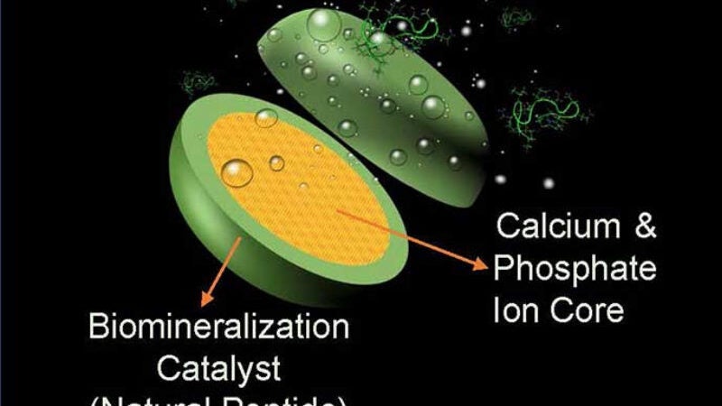 Universidade cria pastilha natural que branqueia e reconstrói esmalte do dente
