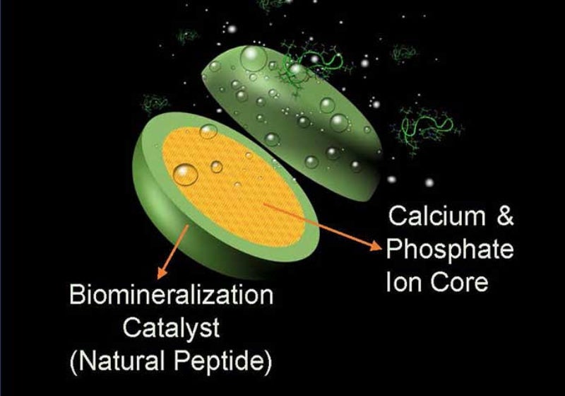 Universidade cria pastilha natural que branqueia e reconstrói esmalte do dente