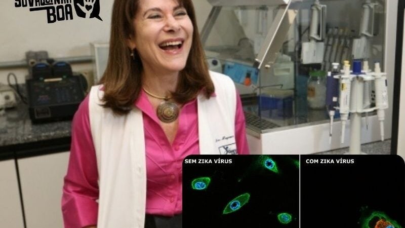 Primeiras doses do tratamento zika-vírus vão começar a ser produzidas após vaquinha