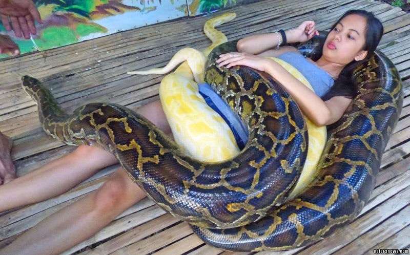 SE NÃO FOSSE FILMADO NINGUÉM ACREDITARIA