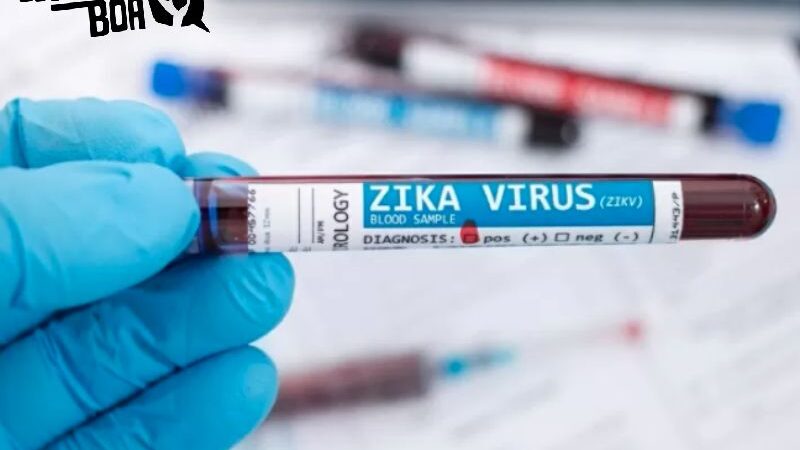 UOL fala dos primeiros testes do zika-vírus contra o câncer: Só Vaquinha Boa