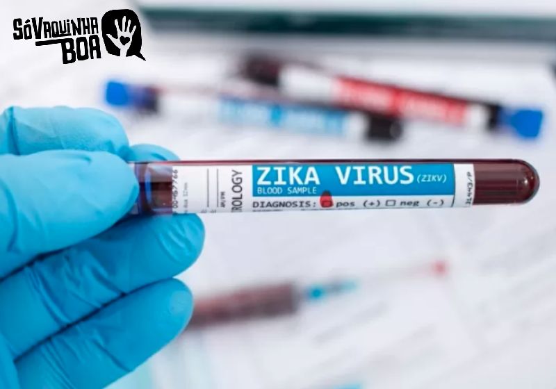 UOL fala dos primeiros testes do zika-vírus contra o câncer: Só Vaquinha Boa