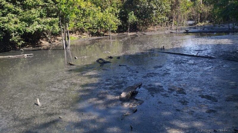 Sema aplica multa de R$ 1 milhão em empresa de Sorriso por poluir Rio Celeste