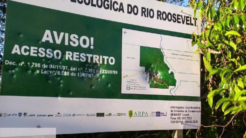 Estado intensifica Operação Amazônia após represálias de infratores ambientais em Colniza
