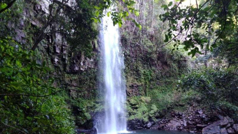 Sema e Comitê visitam áreas degradas na Reserva do Cabaçal