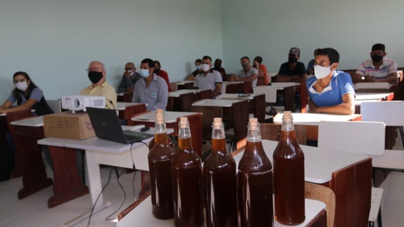 CURSO DE APICULTURA É OFERECIDO A PRODUTORES DE COLÍDER PARA INCENTIVAR PRODUÇÃO DE MEL