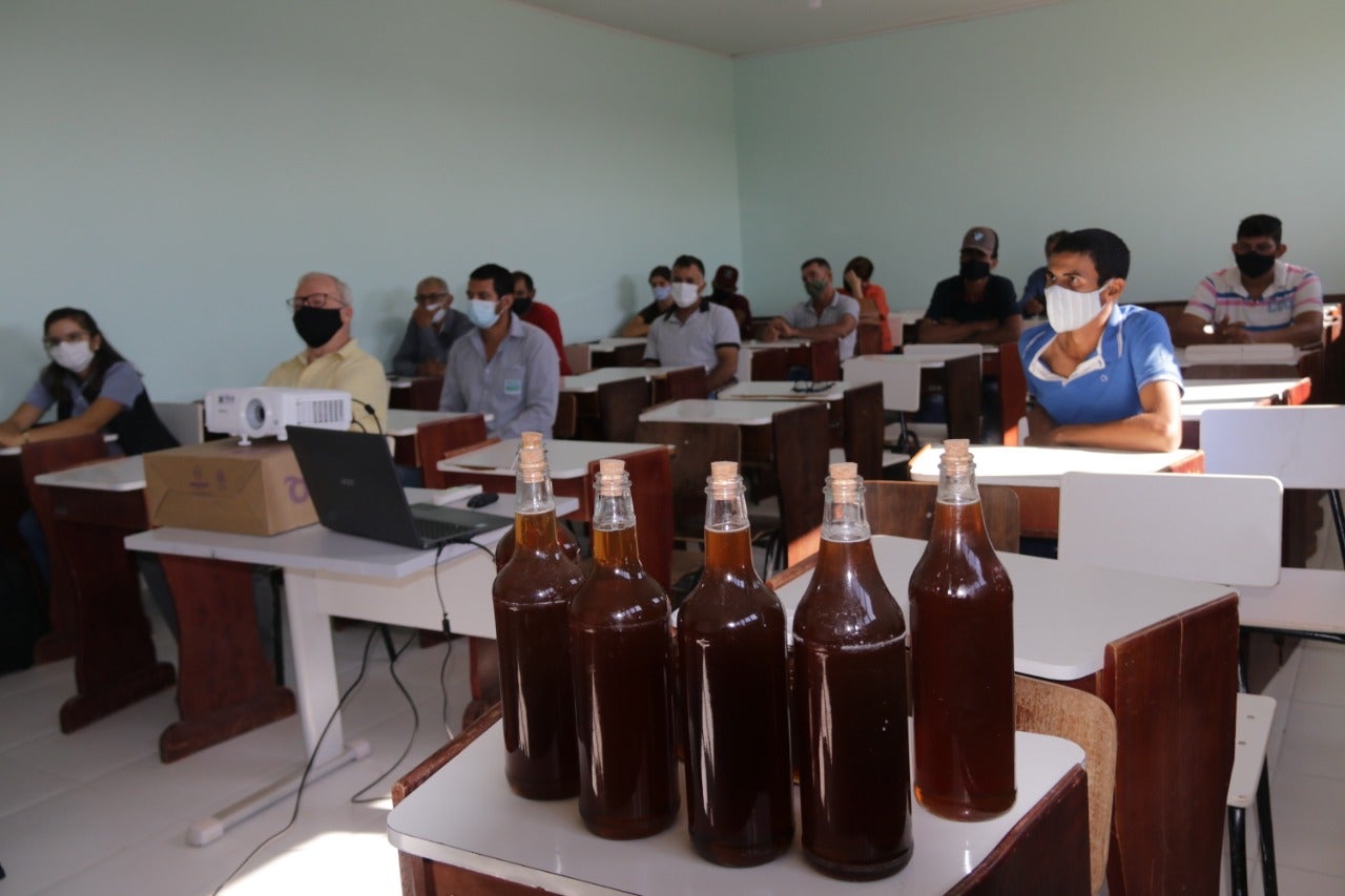 CURSO DE APICULTURA É OFERECIDO A PRODUTORES DE COLÍDER PARA INCENTIVAR PRODUÇÃO DE MEL