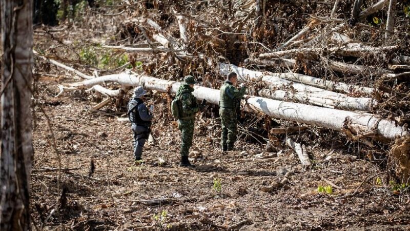 Operação Amazônia aplicou R$ 979 milhões em multa nos 7 primeiros meses do ano