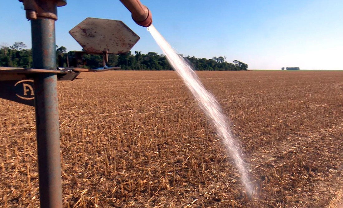 Etanol de milho tem sido o principal responsável pelo crescimento do consumo do cereal em MT