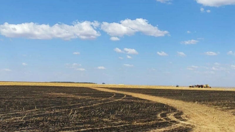 Sindicato Rural reforça orientação a produtores para evitar risco de queimadas em lavouras em Sorriso