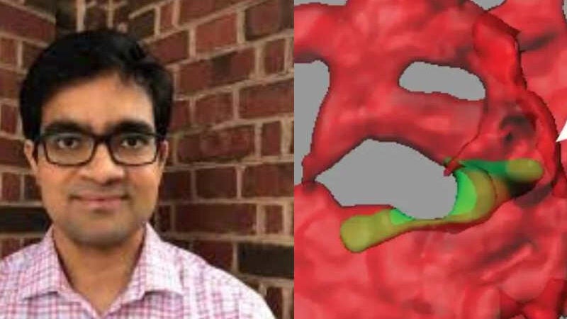 Pesquisadores descobrem proteína que impede que câncer se espalhe