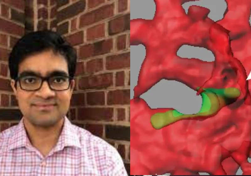 Pesquisadores descobrem proteína que impede que câncer se espalhe