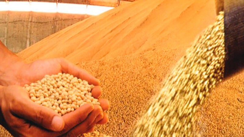 Vendas aumentam e soja disponível em Mato Grosso vai a R$ 153