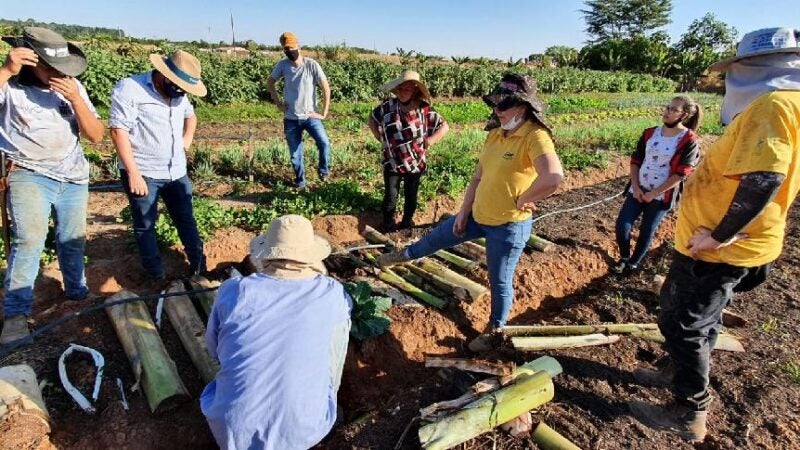 Projeto incentiva produção agroecológica em comunidades em Sinop