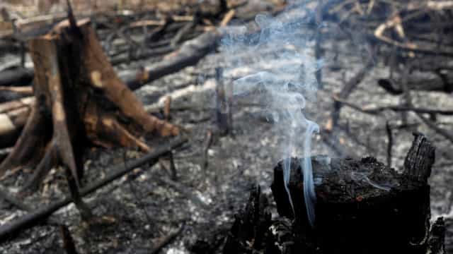 Criança de 3 anos morre em incêndio na zona leste da capital paulista