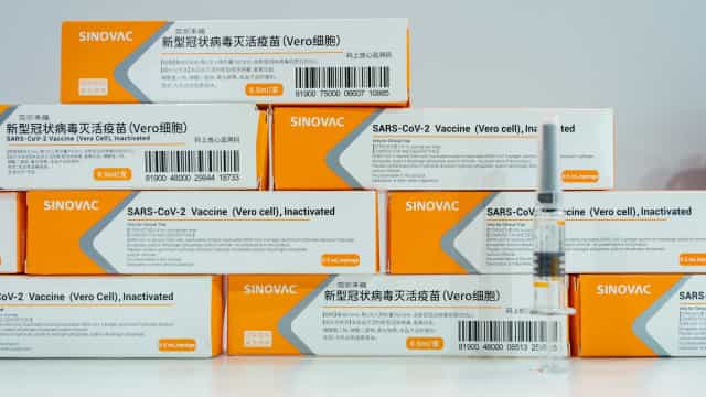 Fabricante da Coronavac fornecerá até 380 milhões de doses à iniciativa Covax