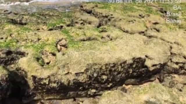 Novas manchas de óleo surgem no litoral da Bahia