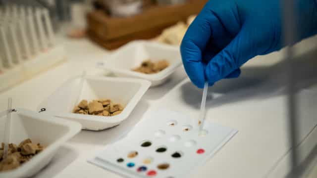 Estados Unidos reportam recorde de 93 mil mortes por overdose em 2020