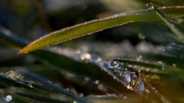 Massa de ar polar seca provocou neve e geada no Sul