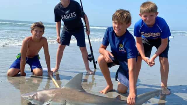 Menino de 12 anos pesca tubarão raramente visto à superfície do oceano