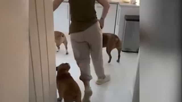 Mulher descobre que sofre de distúrbio raro após 2.º dose de vacina