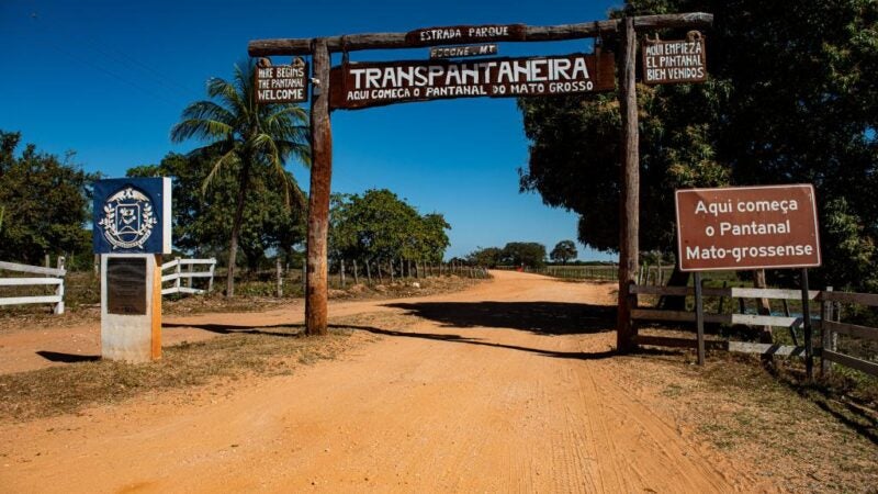 Pantanal mato-grossense registra redução de 97% nos focos de calor