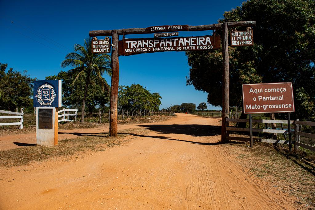 Pantanal mato-grossense registra redução de 97% nos focos de calor