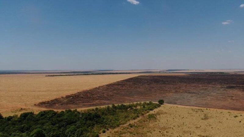 Bombeiros aplicam multa de R$ 3,4 milhões por uso de fogo durante período proibitivo
