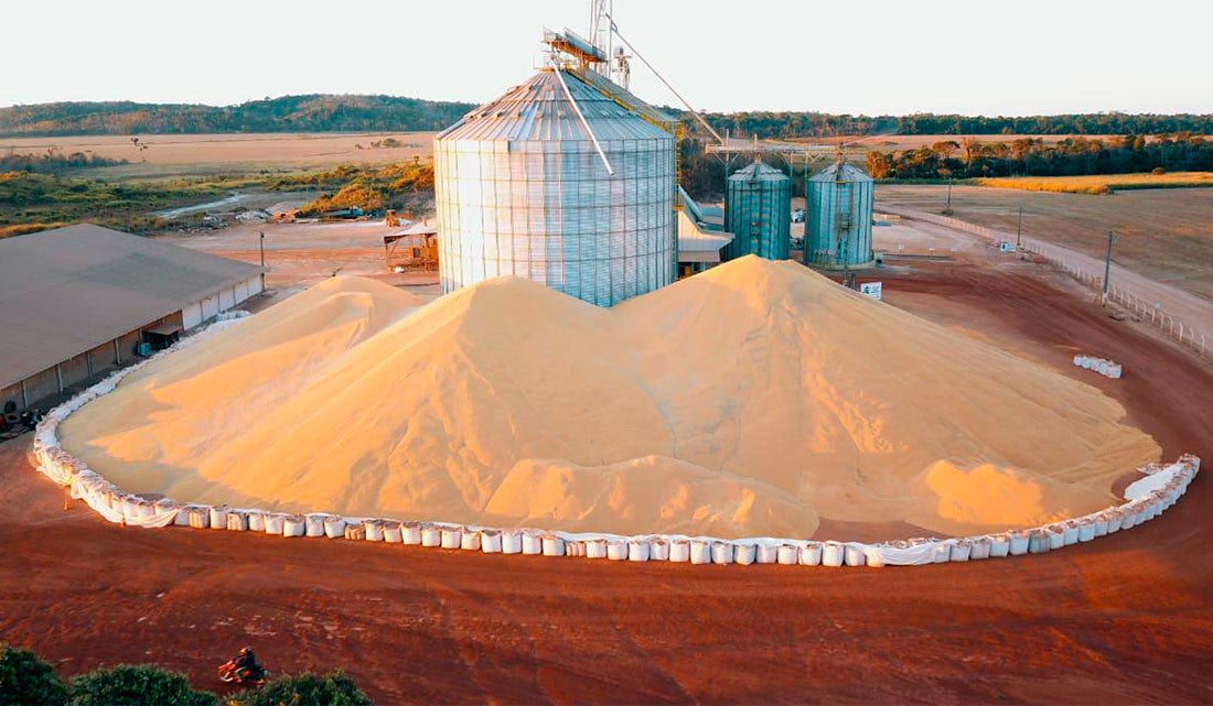 Venda da safra 2021/22 em Mato Grosso chega a 37% e preço médio melhora 2,5%