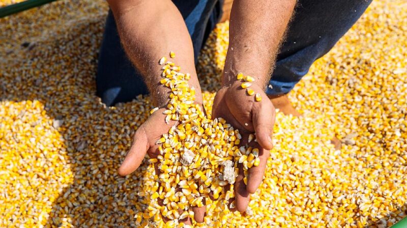 “Governo acerta ao alinhar base de cálculo do ICMS com preços de mercado”, afirma presidente do Fórum Agro MT