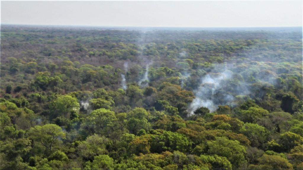 Primeiro incêndio de grande proporção no Pantanal é controlado pelo Corpo de Bombeiros