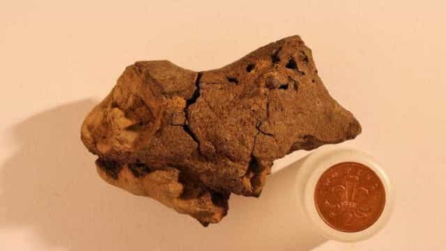 Estudo brasileiro descreve dinossauro que viveu no período Cretáceo