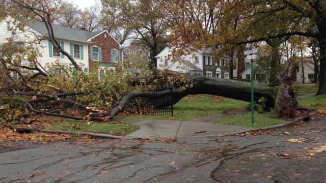 Furacão Ida enfraquece após deixar uma vítima e danificar sistema elétrico em Louisiana