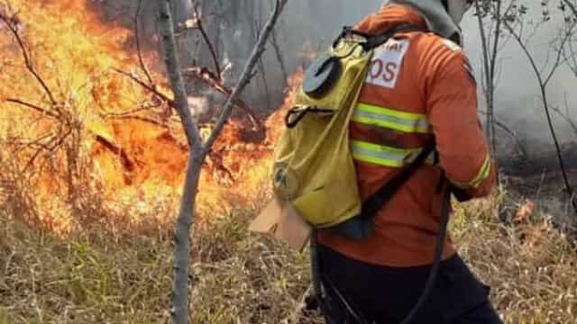 Queimada afeta 20% do País em 3 décadas