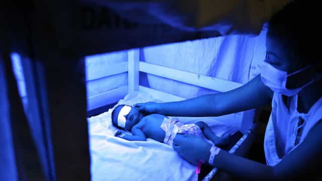 Mulher grávida morre após ser mordida por cobra; médicos salvam bebê