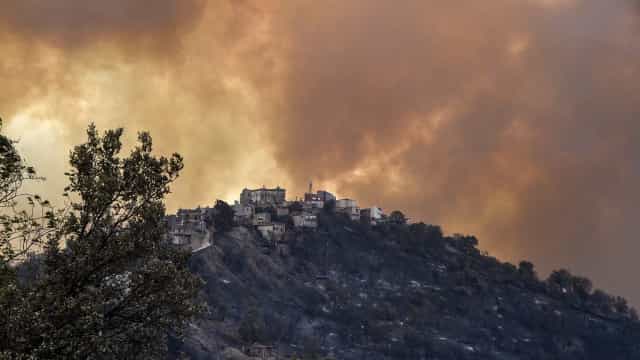 Incêndio florestal faz pelo menos 42 mortos