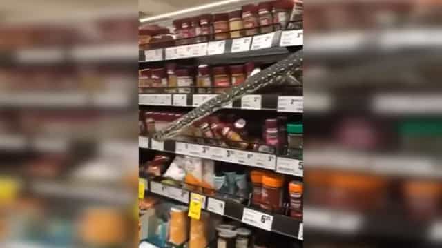 Cobra Píton com três metros aparece em supermercado