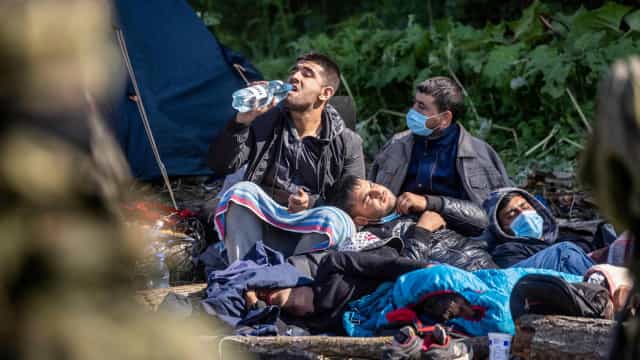 Crianças afegãs na UTI após comerem cogumelos venenosos na Polônia