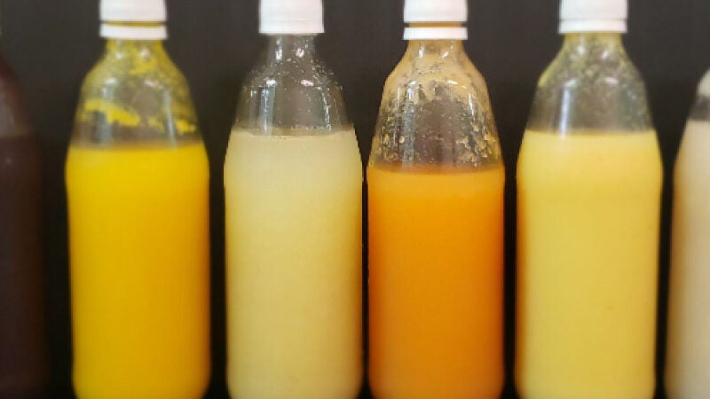 Brasileiros criam 1º probiótico para intolerantes à lactose e veganos