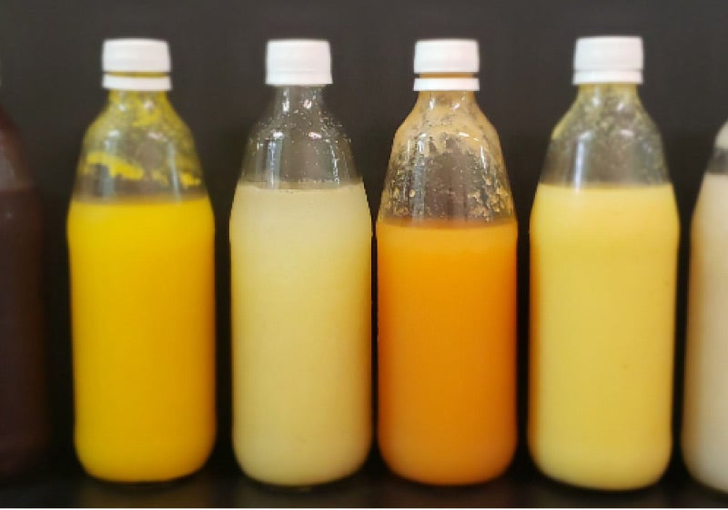 Brasileiros criam 1º probiótico para intolerantes à lactose e veganos