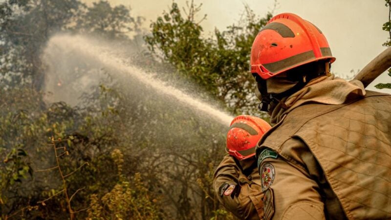 Incêndio no Parque Estadual Encontro das Águas está parcialmente controlado