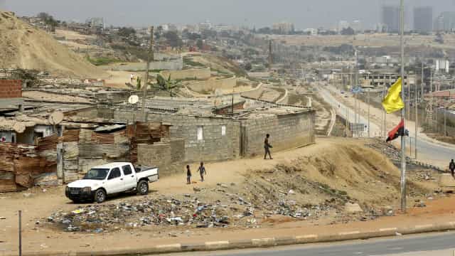 Polícia prende em Luanda homem com 15 cães congelados em carro