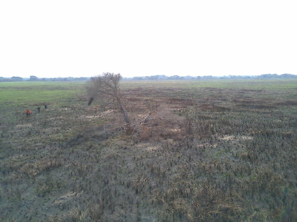 Perícia aponta que incêndio no Parque Estadual Encontro das Águas foi causado após queda de raio