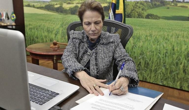 Ministra da Agricultura destaca que todo o país vai ganhar com a construção da 1ª Ferrovia Estadual